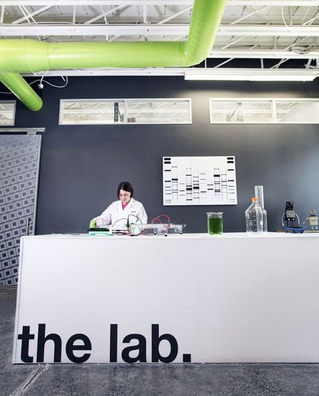 This summer, DNA 11 established the very first genetics lab devoted to art.