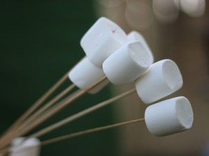 Marshmallows and a Successful Life