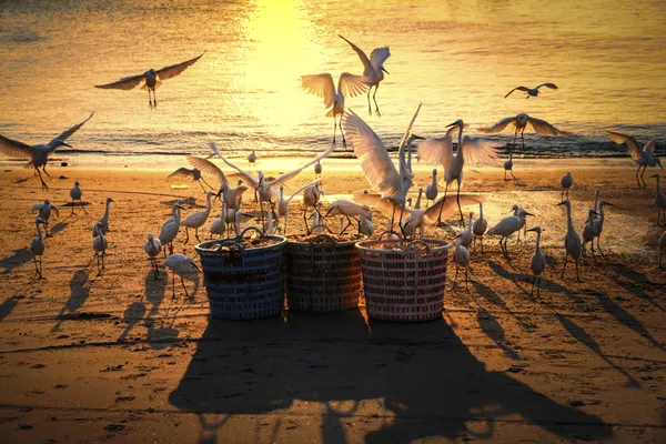 Seize food thumbnail