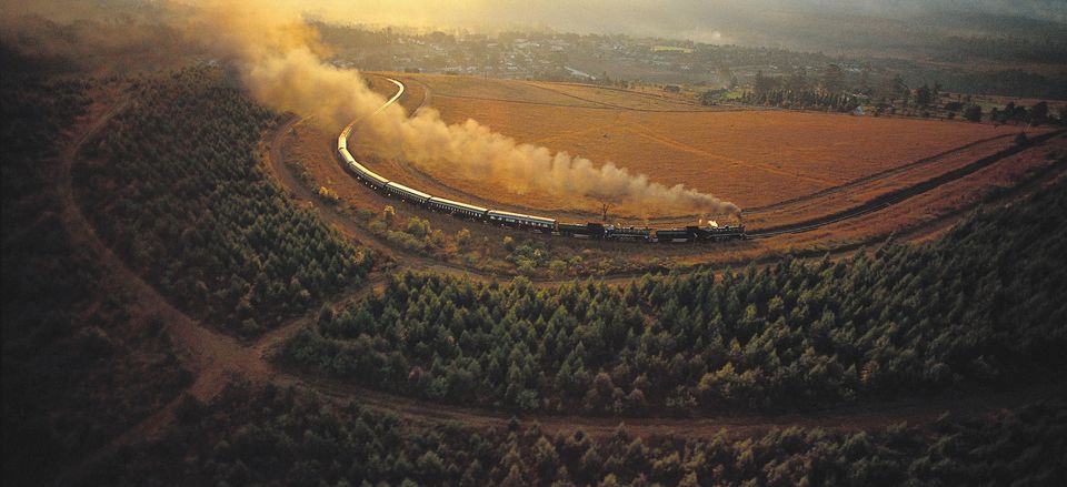  The <em>Rovos Rail</em> traveling through the savanna. Credit: Courtesy of <em>Rovos Rail</em>
 