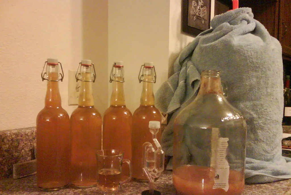 Cider