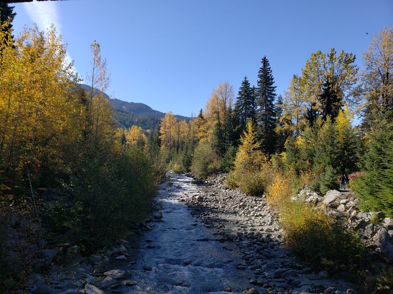Canadian Creek Smithsonian Photo Contest Smithsonian Magazine