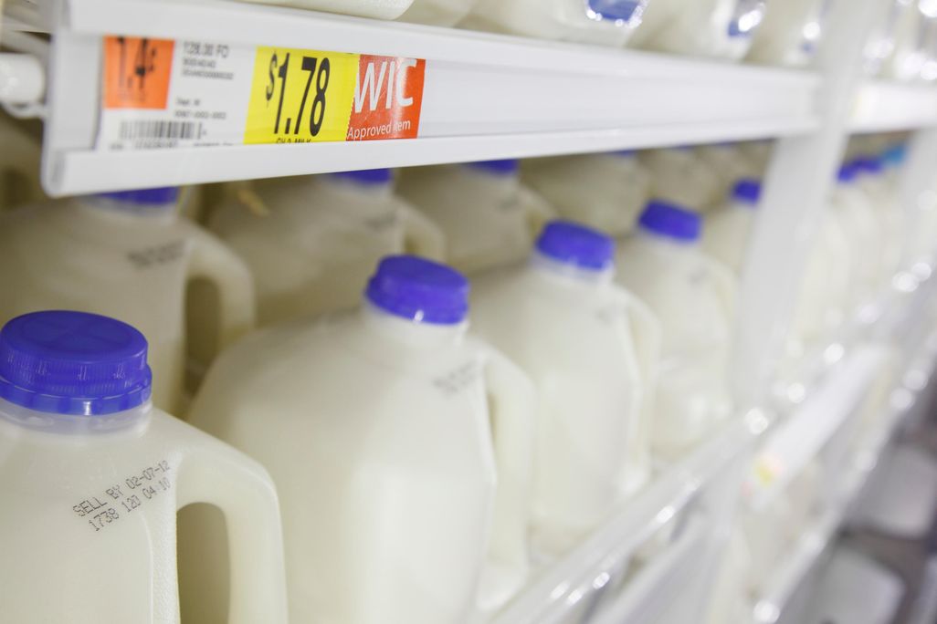 milk jugs