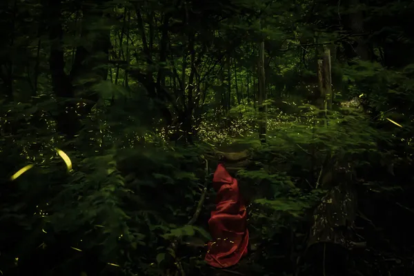 Surrounded by fireflies thumbnail