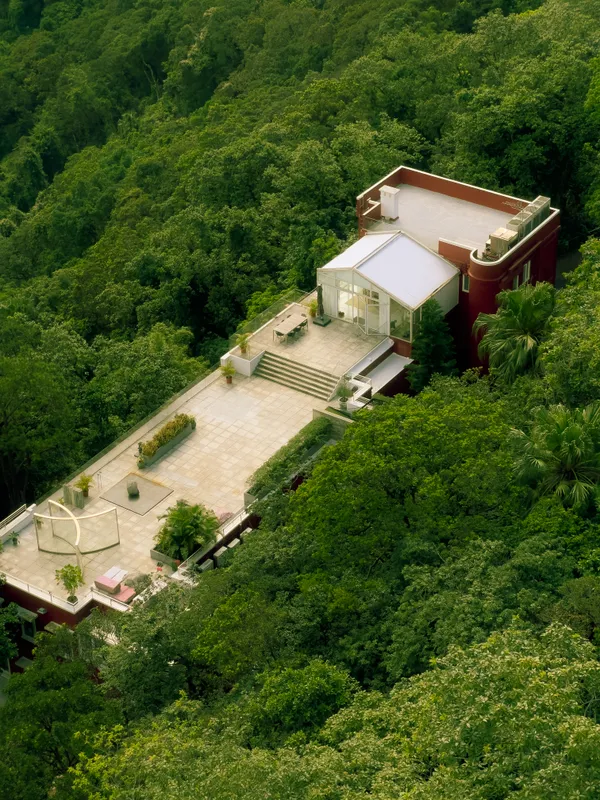 A rooftop amidst the trees thumbnail