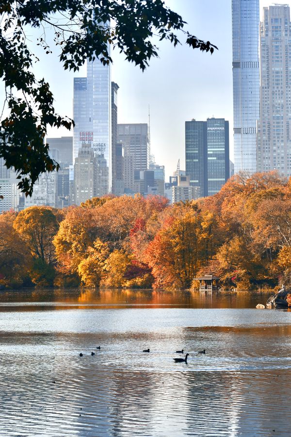 Autumn in New York City thumbnail