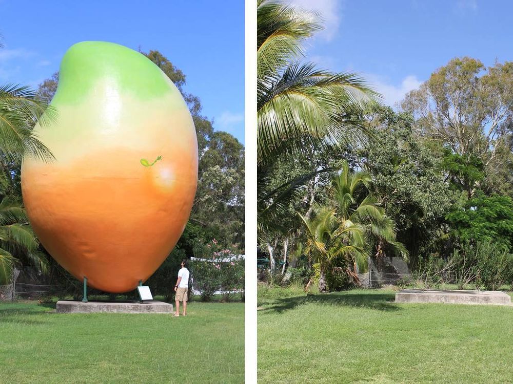 Before and After: Where has the Mango Gone?