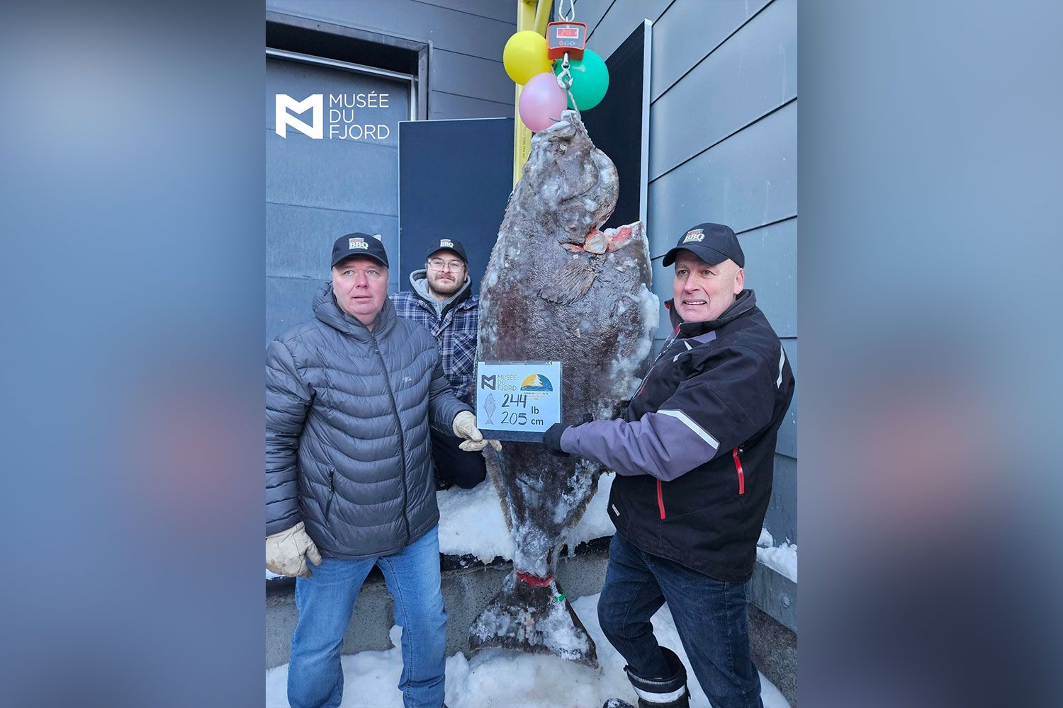 Ice Fishermen Catch Record-Breaking 244-Pound Atlantic Halibut After ...