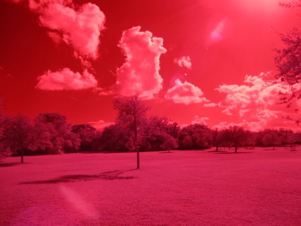Infrared Field thumbnail