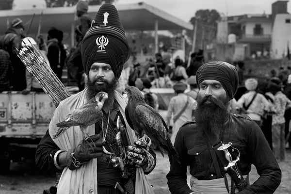 Nihang sikh warriors thumbnail