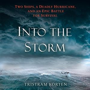 Preview thumbnail for 'Into the Storm: Two Ships, a Deadly Hurricane, and an Epic Battle for Survival
