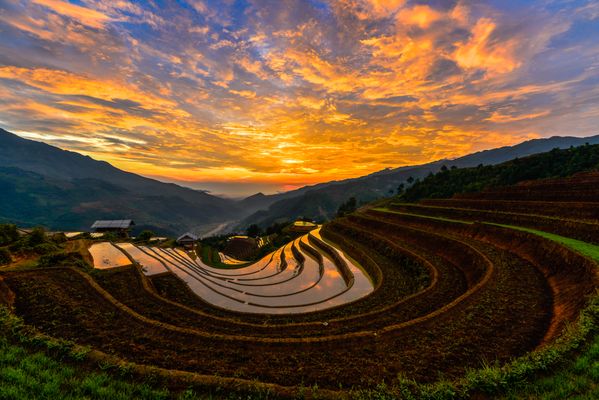Sunset at The Horseshoe Rice Terrace of Mu Cang Chai by Pour-water season  thumbnail