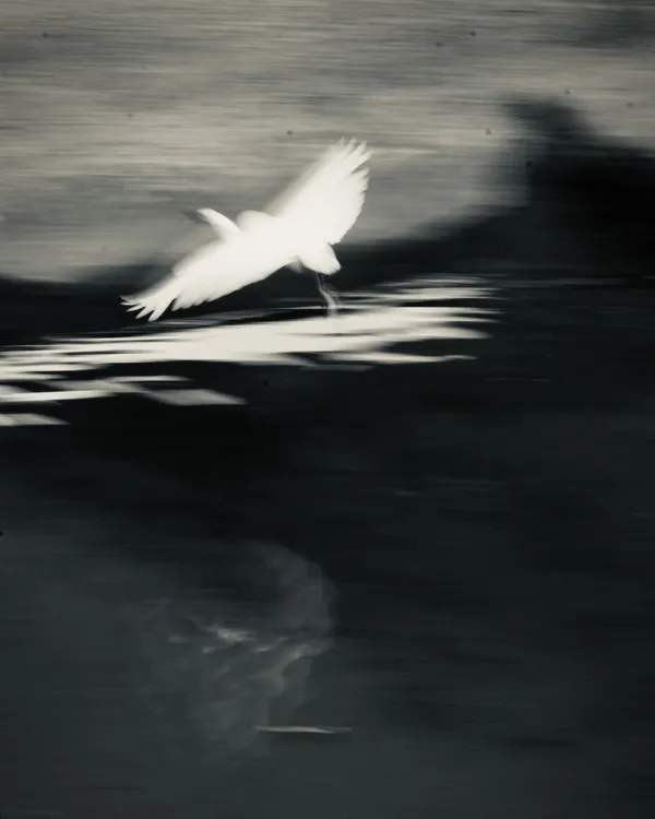 Flying Somewhere thumbnail