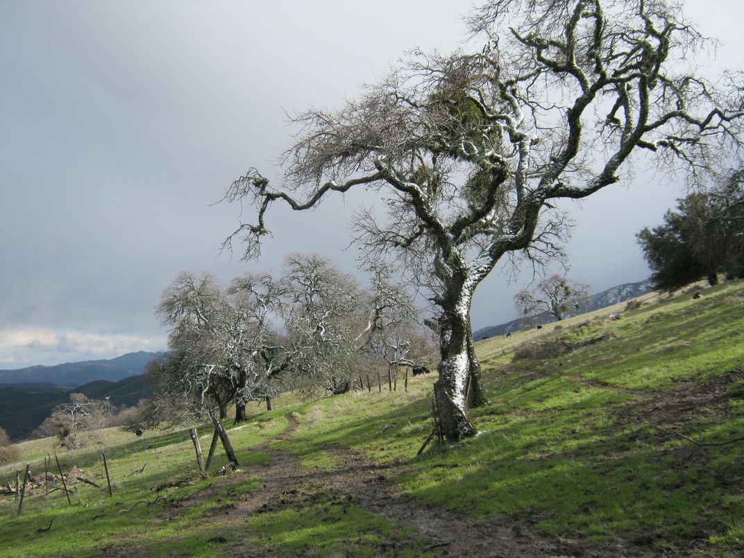 A dusting of snow in California Smithsonian Photo Contest