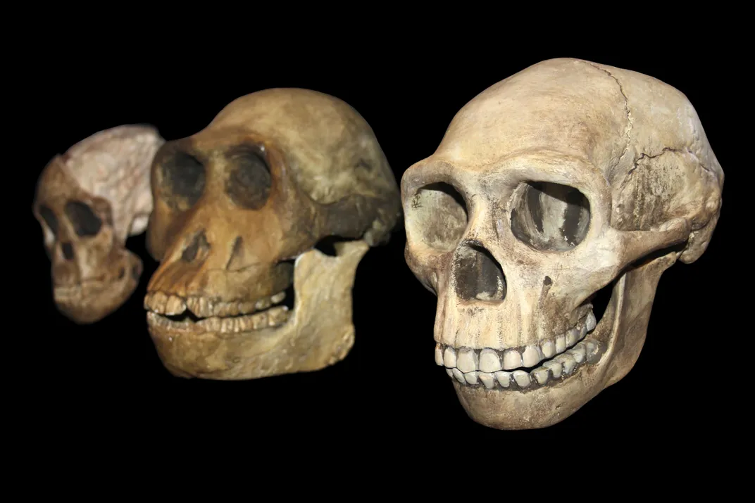 How Ancient Teeth Reveal the Roots of Humankind