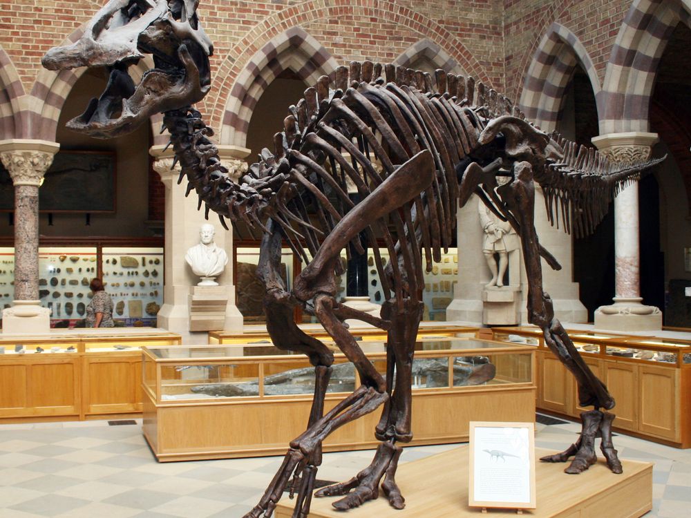 Edmontosaurus