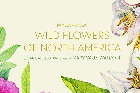 Wild Flowers of North America Cover-Header.jpg