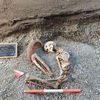 This Man Fled Pompeii as Mount Vesuvius Erupted. Archaeologists Found Him 2,000 Years Later, Holding a Bowl to Protect His Head and a Lamp to Light His Way icon