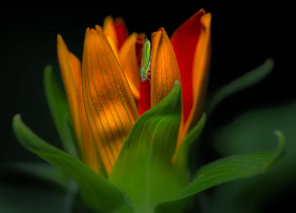 Between the Lines thumbnail