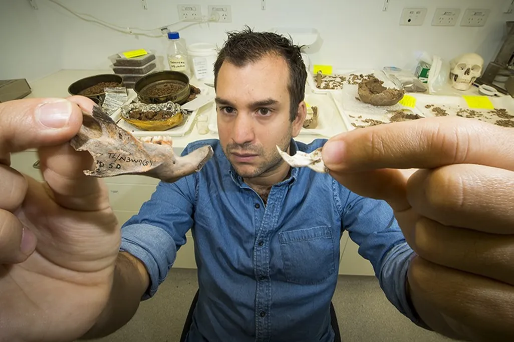 giant rat bones