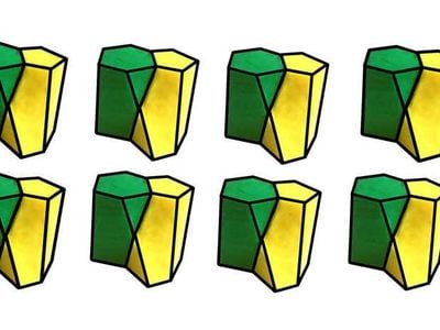 This shape, dubbed the scutoid, had no name until researchers found it while modeling how skin cells pack together.