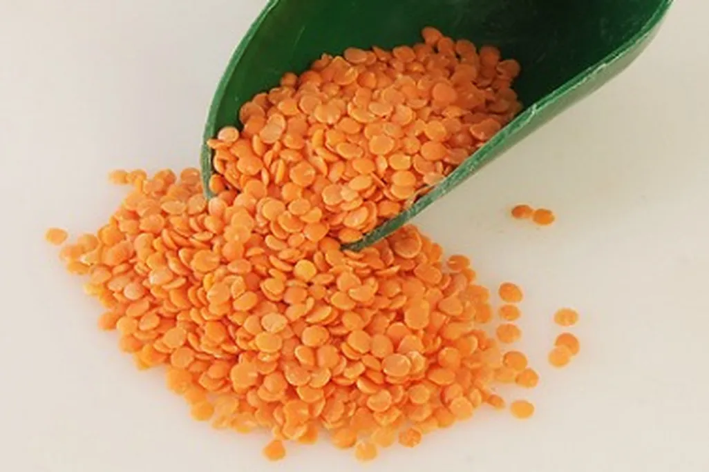 Organic red lentils