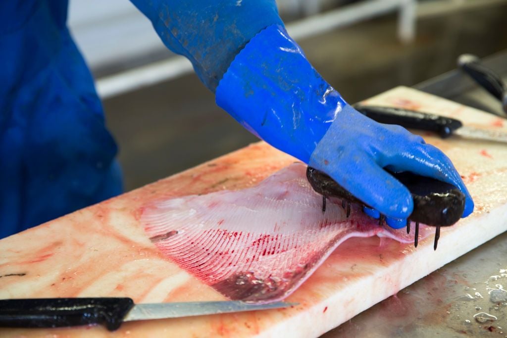 skinning a skate