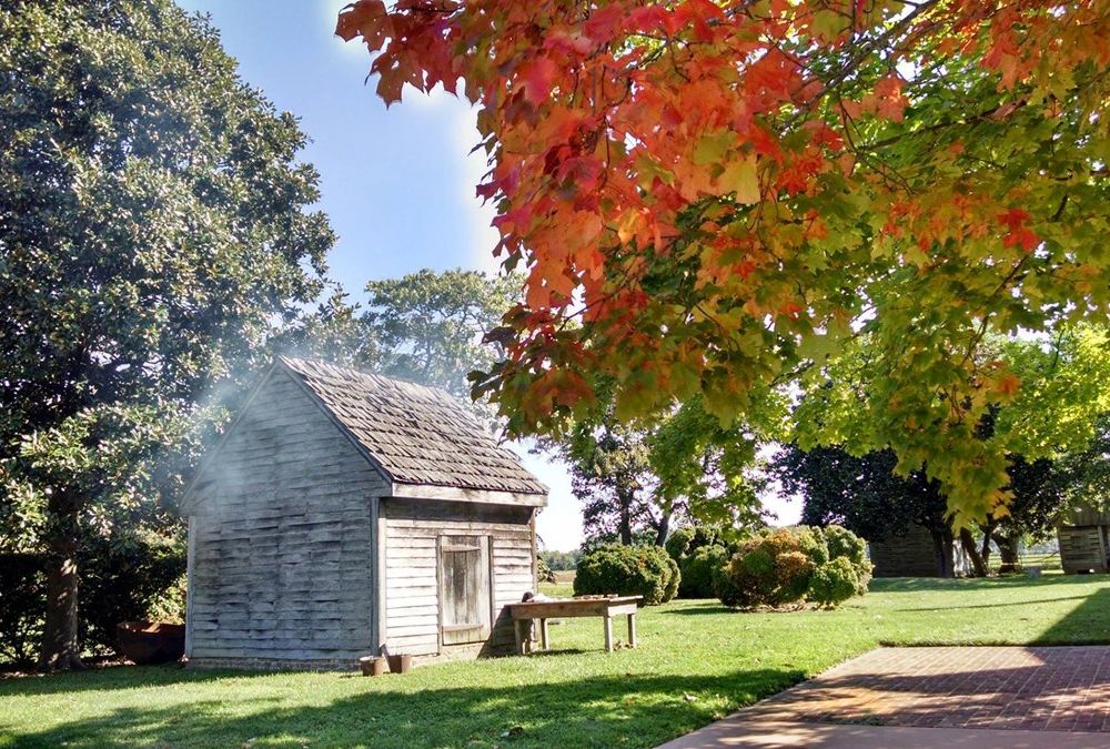 A small wooden house with smoke rising from the roof, framed by bright red and green fall foliage and green grass