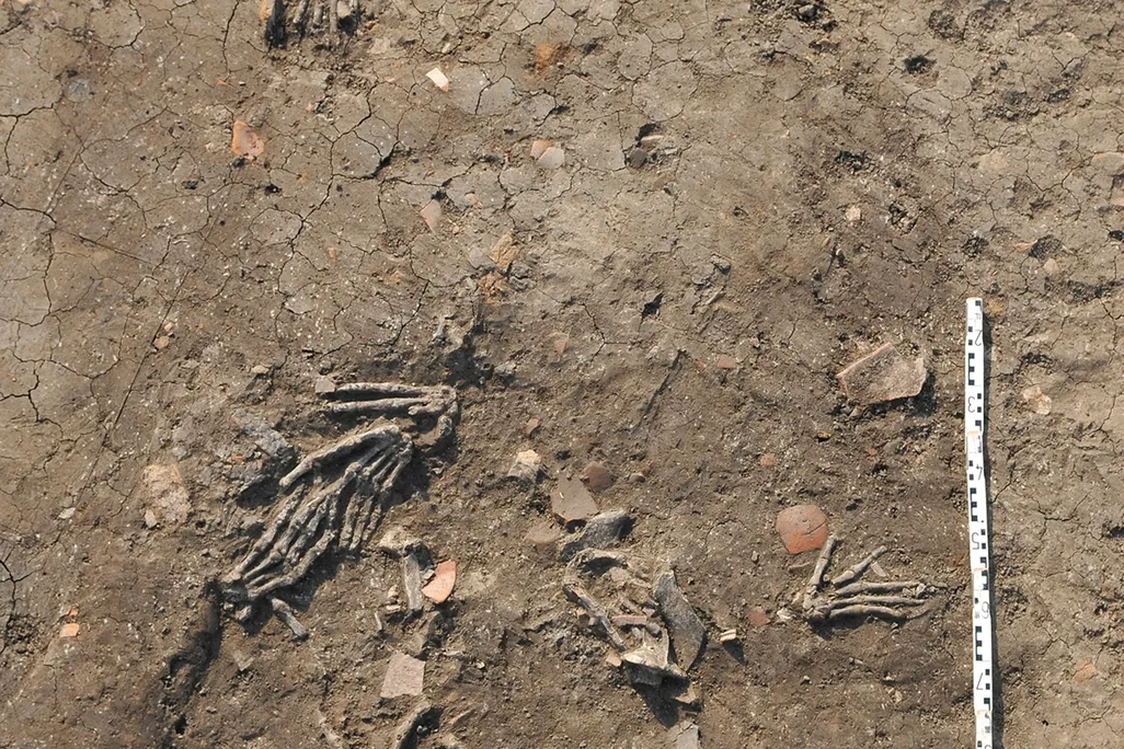 Old hands buried in the ground