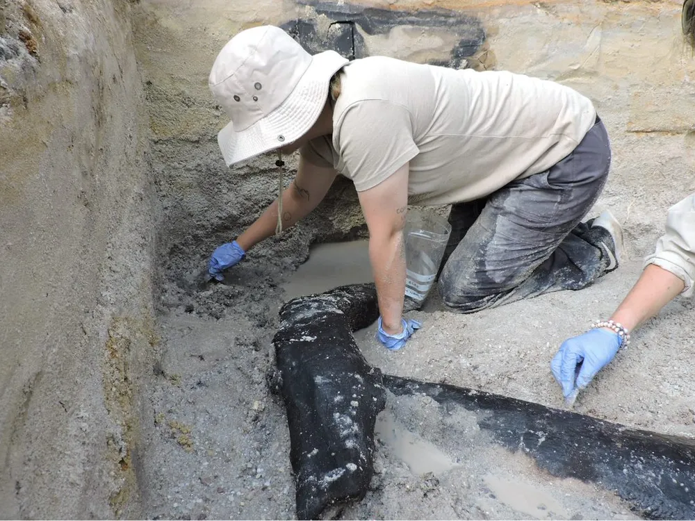 A person kneeling in sand and digging with a small tool