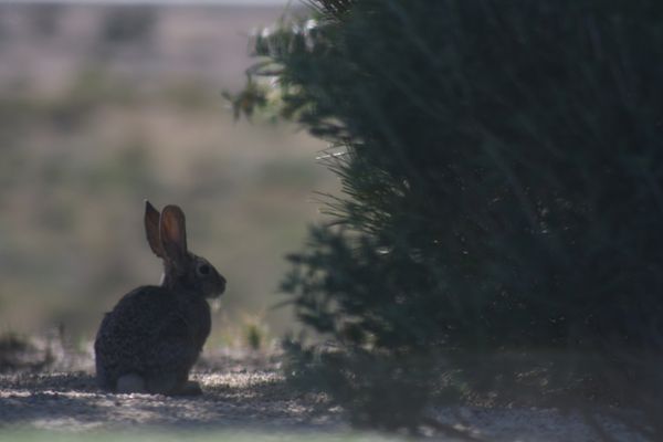 A Moment of Stillness thumbnail