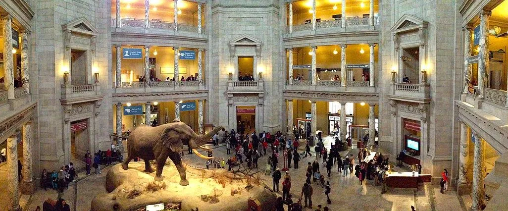 National Museum of Natural History