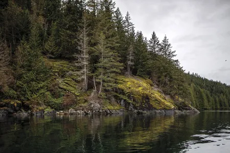 The coastline of Quadra Island in British Columbia. Some scientists believe that prehistoric humans spent thousands of years in the region.