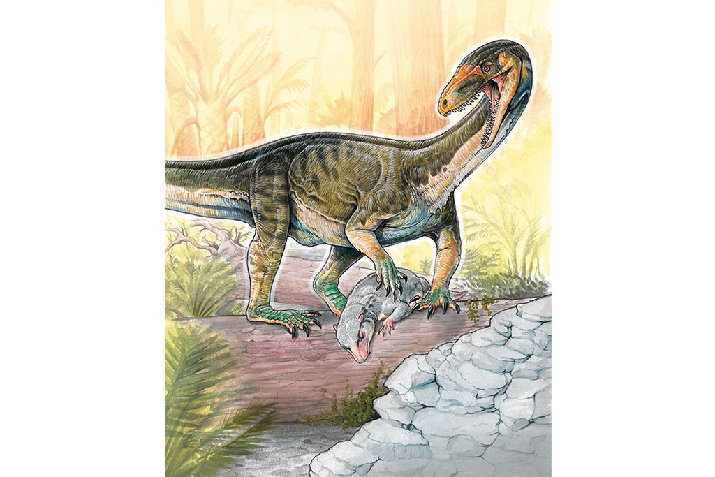 Teleocrater-rhadinus2-WR.jpg