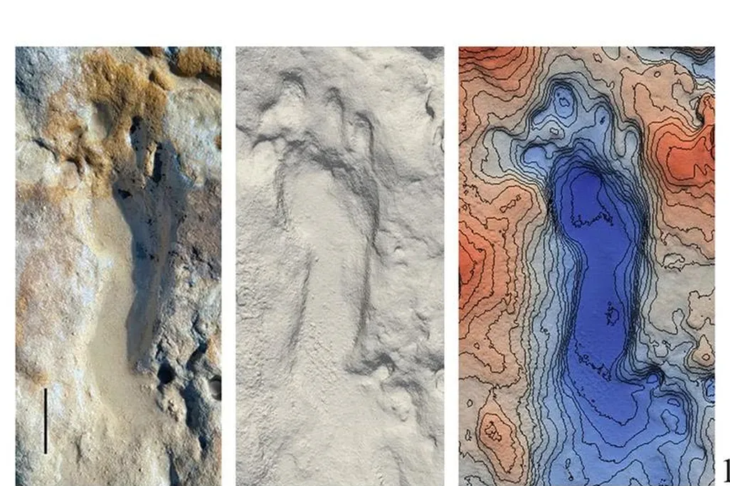 Fossilized Neanderthal footprint