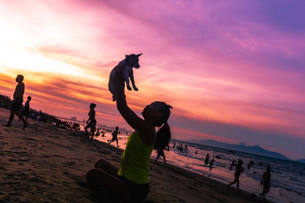 Dog Beach at Sunset thumbnail