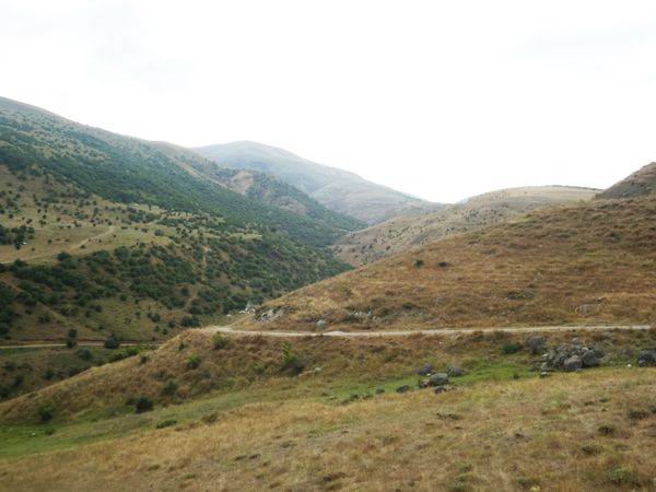 The Pastureland thumbnail