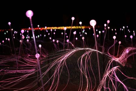 A close-up of the stems and optical fibers used to illuminate Field of Light
