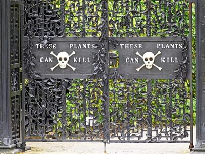 The ornate black gates to the Poison Garden warn visitors of the deadly plants that grow within.