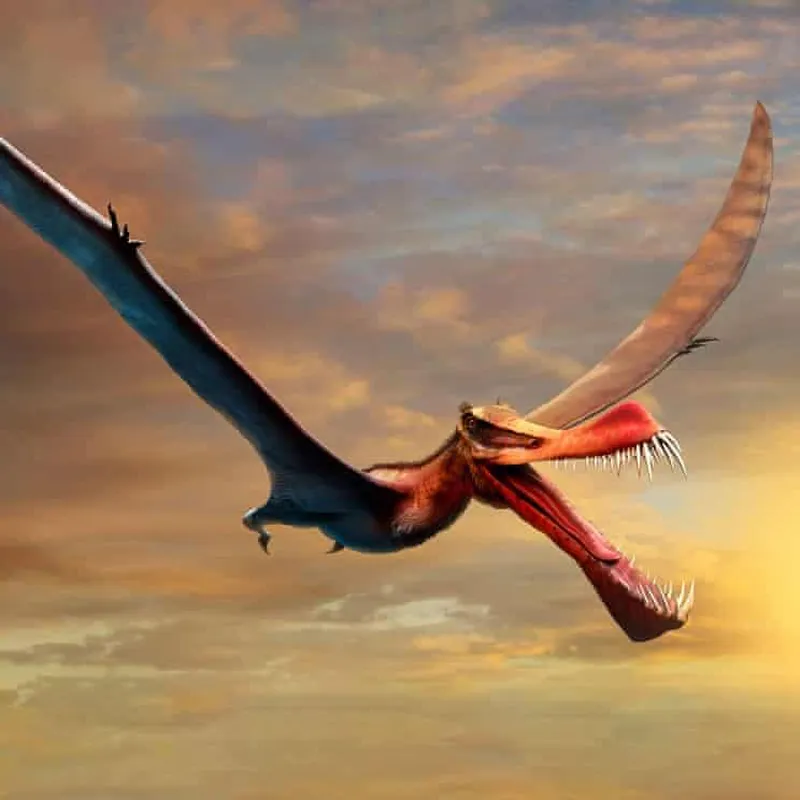 Pterosaur eggs help reveal the early life of flying reptiles