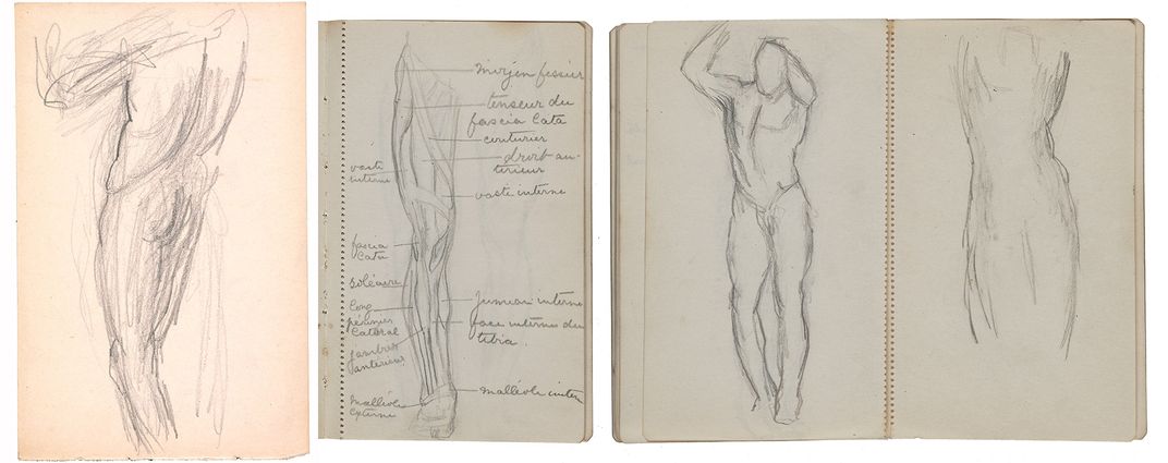 Anatomical sketches by Gertrude Vanderbilt Whitney