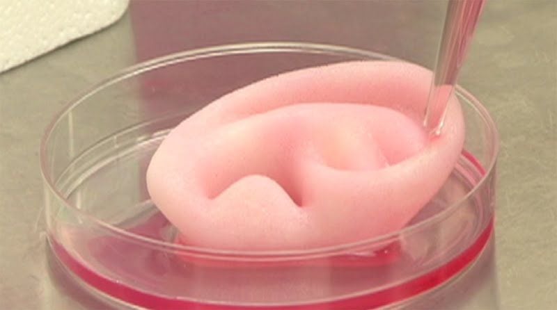 3D printed ear