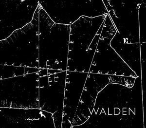 Preview thumbnail for 'Walden