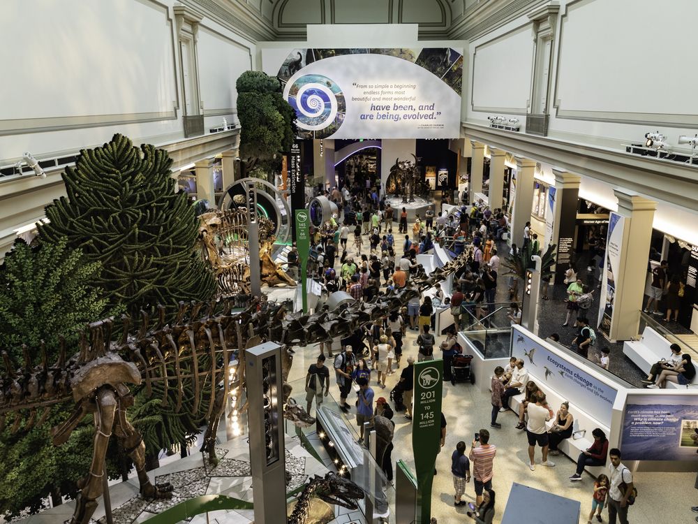 Visitors enter the Smithsonian’s new fossil hall for the first on June 8 when it reopened after being closed for a five-year renovation. (Smithsonian Institution)