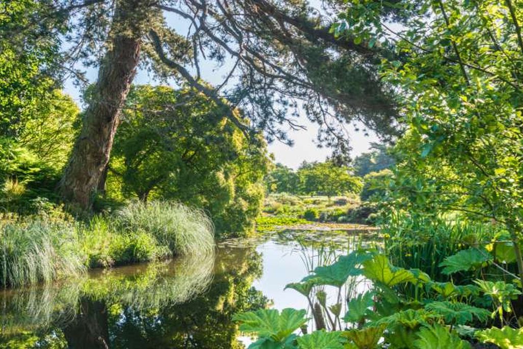 Botanic Garden