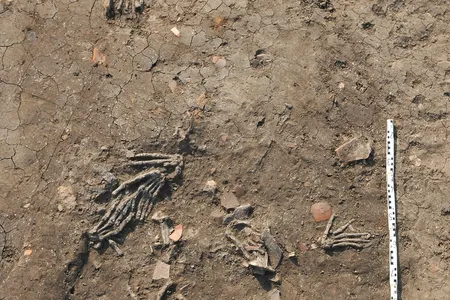 Researchers uncovered a cache of 12 right hands in the courtyard of an Egyptian palace in 2011.