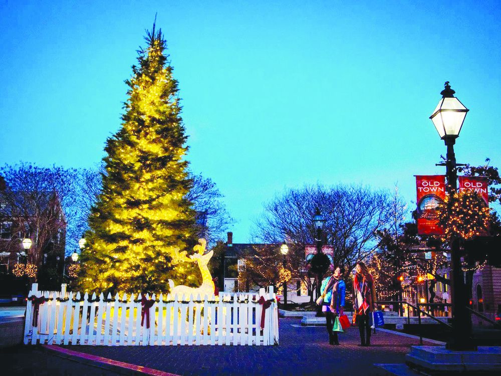 Wide shot of people admiring the Christmas Tree lights at Market Square.