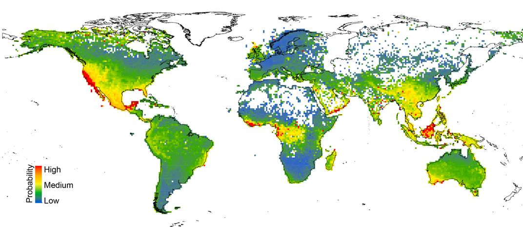 Thousands of Little-Known Plant Species Are at Risk of Extinction