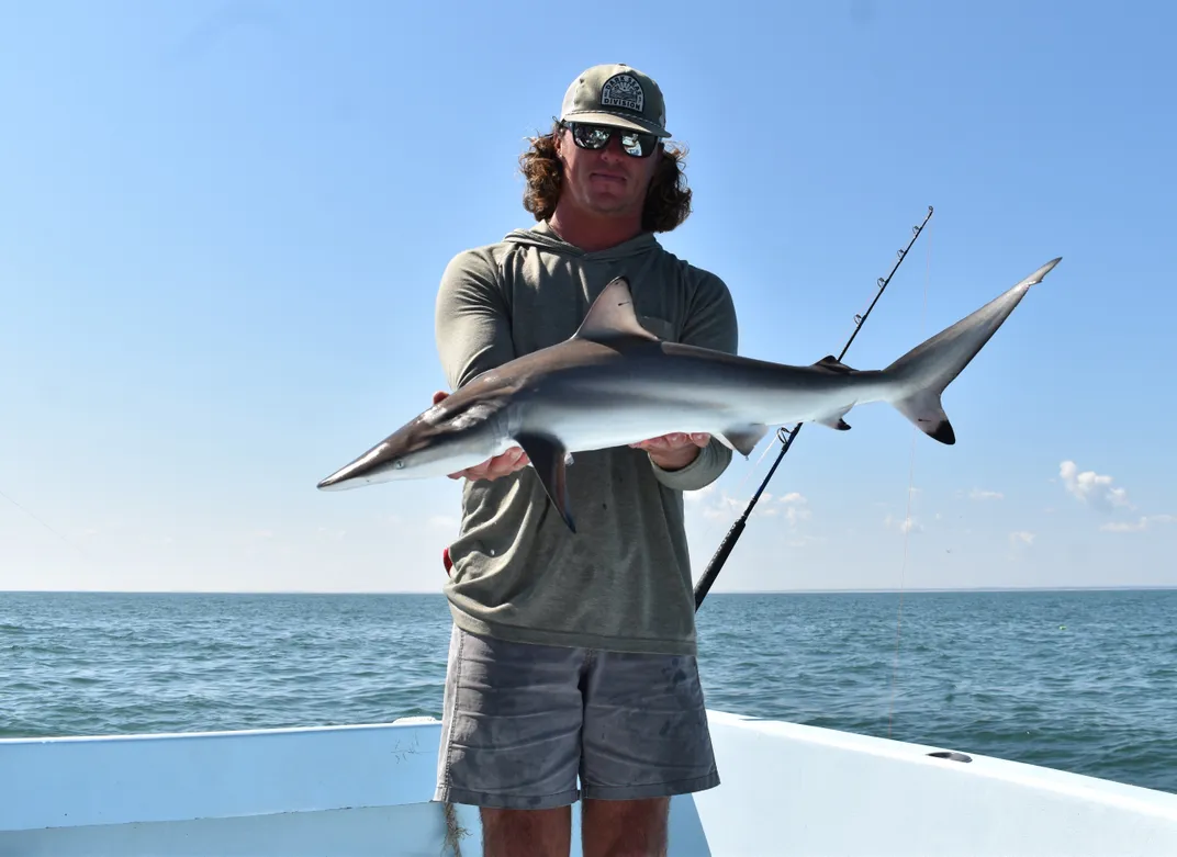 a man with sunglasses and a baseball cap holds a small shark on a boat