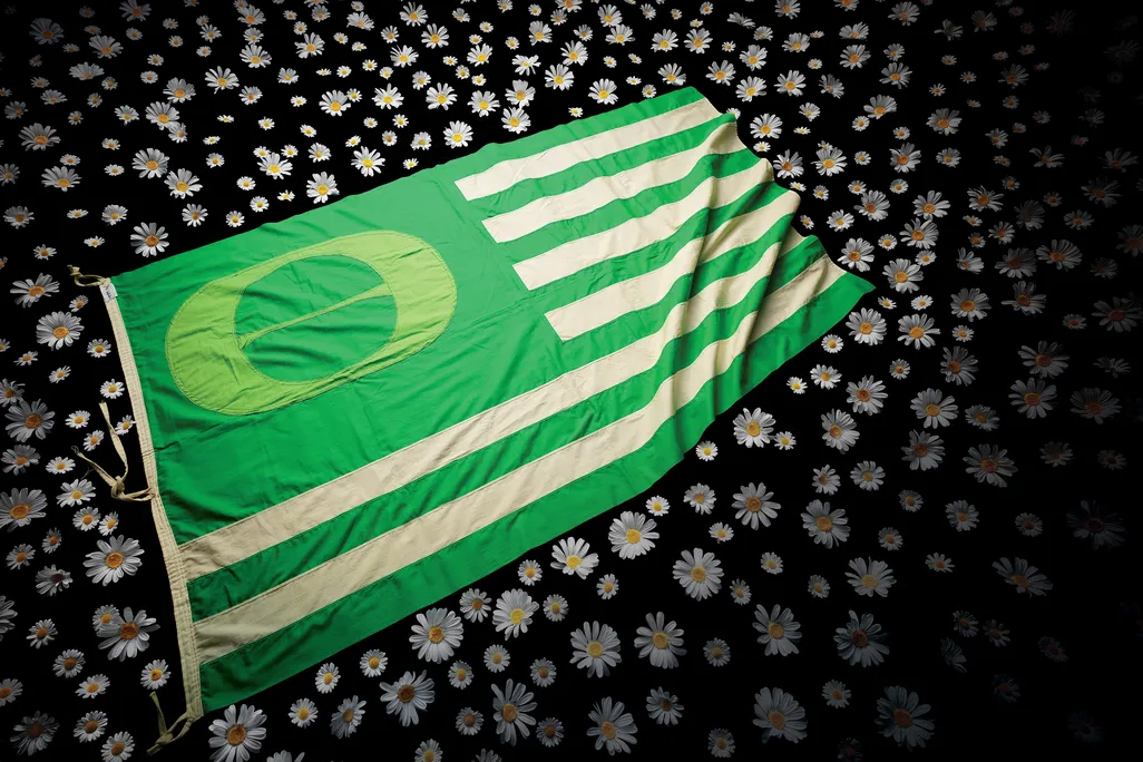 The homemade flag carried by Lanphier High School students during their march to the Illinois State Capitol on the first Earth Day.